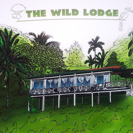 Wild Lodge Taman Negara Куала Тахан Екстериор снимка