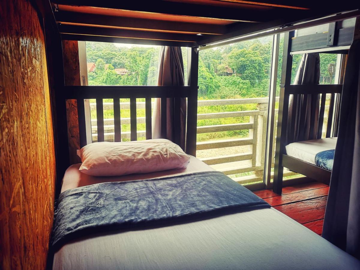 Wild Lodge Taman Negara Куала Тахан Екстериор снимка